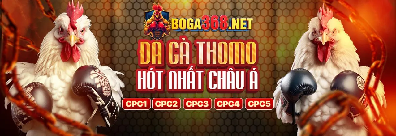 Hình ảnh chính về tin tức w79