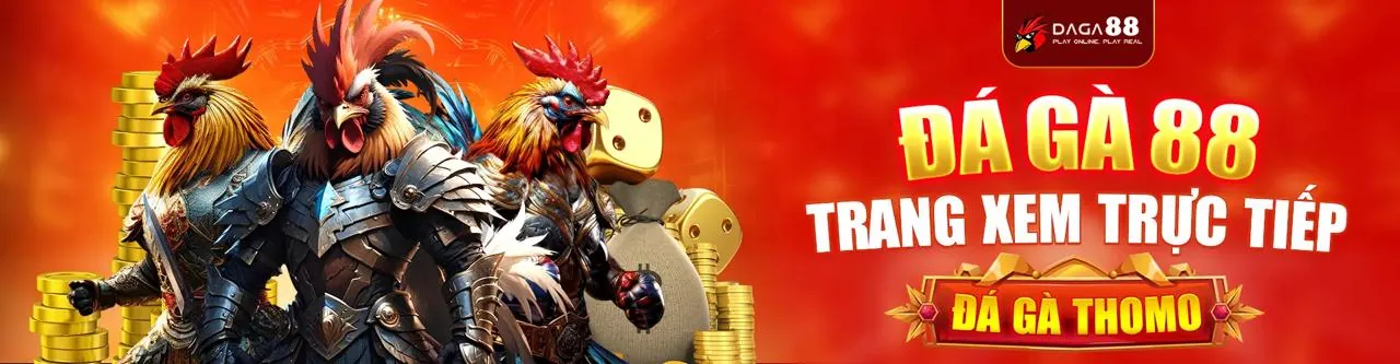 Sân đấu đá gà trực tuyến w79